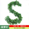[45组绿萝(1条的价格)]