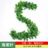 [45组海棠(1条的价格)]