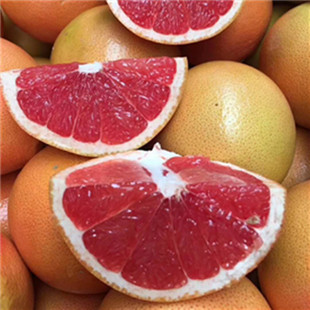 ���������ϷǼt�������ЋDˮ������ˮ���t�������ַ�ɳ���ֺ���