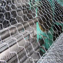 �����Q���W ���Ǳ��ؾW��\ܛ߅�W�BֳȦ�����ǾW ��\�F�z�Q���W