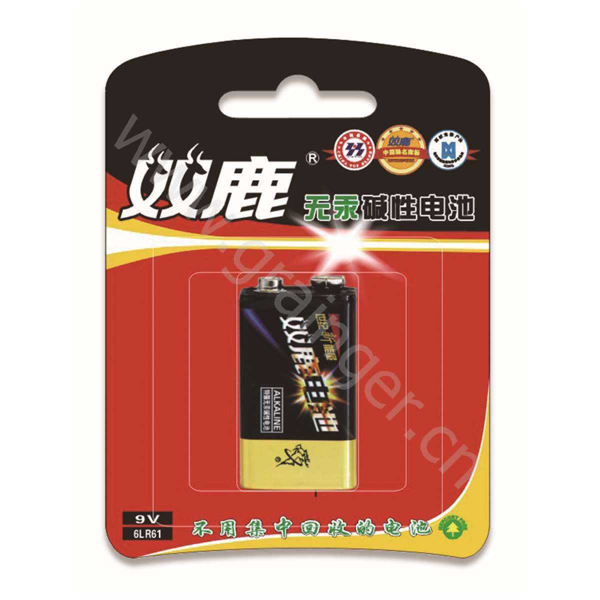 可按您的要求大量制作彩色印刷加印logo图案电池吸塑纸卡