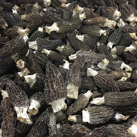 银耳;其他干货;蘑菇