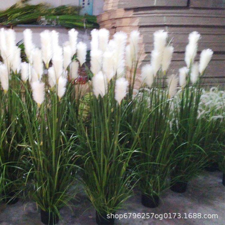 En stock Reed al por mayor simulación dogtail en maceta grande flor seca cattail hierba piso Decoración