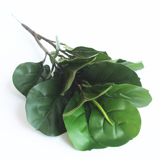 �Ҿ��b[�����W�L�����ֲ��Gֲ��͏d�������2��������~��