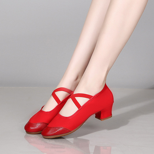 Cross-border  New Dance Shoes Soft Sole Dance Shoes Dance Shoes Women's Latin Dance Shoes Square Dance Shoes Dance