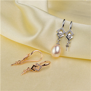 Earring holders(86)
