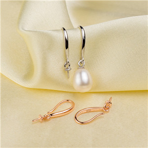 Earring holders(92)