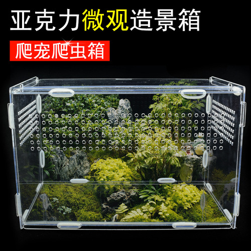 Reptile box breeding insulation box acrylic transparent modeling room pet tortoise spider lizard hedgehog horned frog
