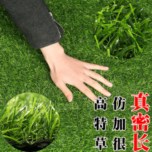 ���l��������ƺ��̺��ƺ���̇��� �׃��@�����b��˹��ٲ�Ƥ