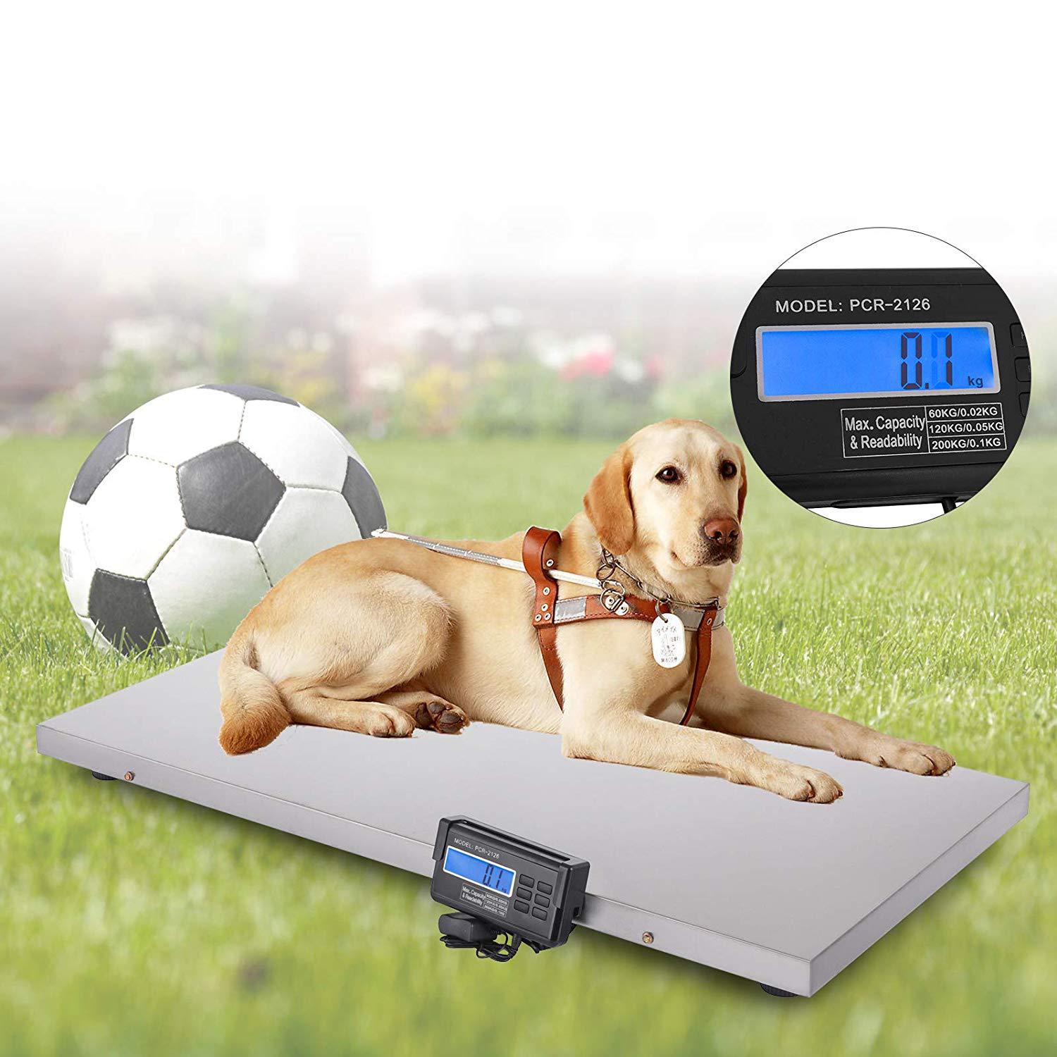 超大台面尺寸宠物秤动物秤台秤邮政秤 全不锈钢面壳 防滑防生锈