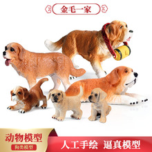 ��ͯ���挍���J֪���ﹷģ�������}���{Ȯ ��ë���ﹷ����ߔ[��