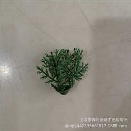 仿真植物塑料水草配件 三叉小松草 迎客松装饰小草 草坪草 草球草