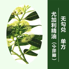 无勾兑尤加利精油单方100ml蓝胶桉树精油香薰精油原料蓝桉叶精油