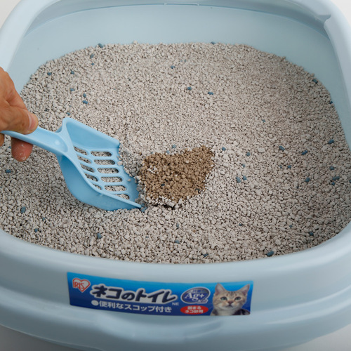 Japanese Everland Cat Litter Clumping Low Dust Cat Litter 10L Urinary Tract Detection KCD80 Traceless Dropshipping