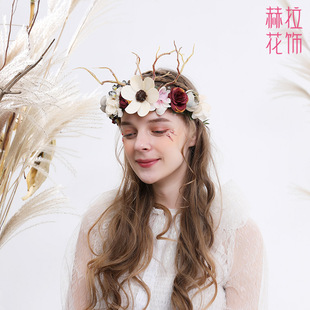 �͹�ɭϵ��֦¹��õ��M���Ǹɻ����h�������Y���������^��