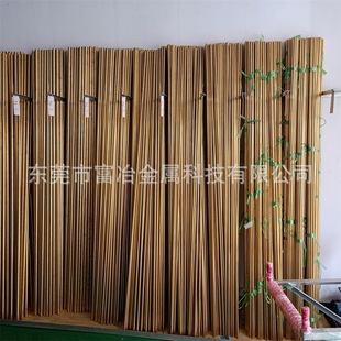 �S�~��S�����lH62�����S�~��C3602�T���S�~��Hpb59-1�U�S�~��