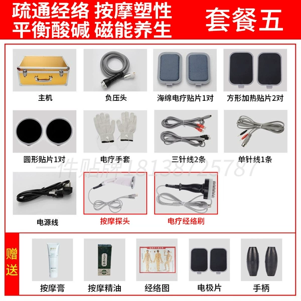 Standard configuration + temperature adjustment probe + meridian brush eighth generation upgraded version 5