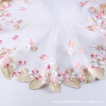 9ɫ��С����̽��ٽz��߅�ű������o�Ϸ��bˮ�ܾW��DIYˮ�ܴ̽�