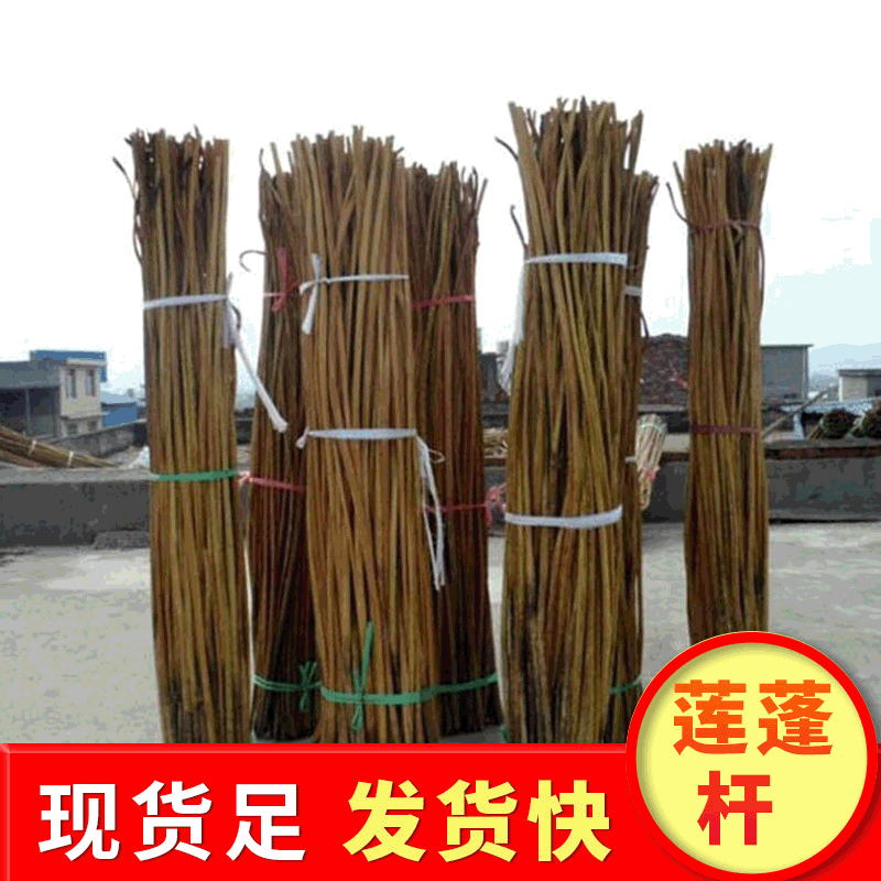 Supply of dried flower materials: lotus stems, lotus leaves, lotus pods, lotus stalks, lotus root stems, lotus pod stems, lotus leaf stems, lotus stems, natural flower materials.