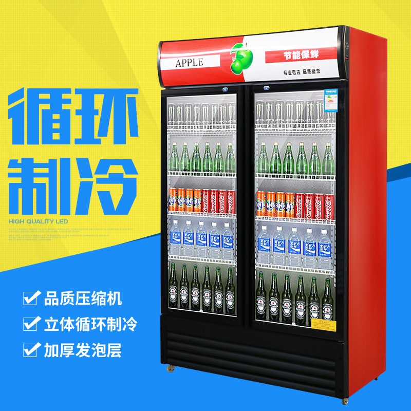 冷藏展示柜立式玻璃商用冰柜冰箱啤酒饮料保鲜柜双门单门冷柜