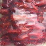 �������Һ���ٶ�С��Ϻ ����Сȫ������� ��ˮ�ٶ�С��Ϻ