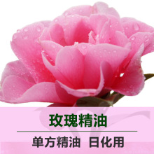 oõ徫͆η50沿Ħԭlõ廨