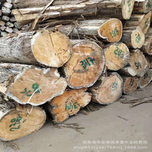 ���ľ ���ľԭľ �uľ ��uľԭľ ��ľ ���ľ �۲ĵ��