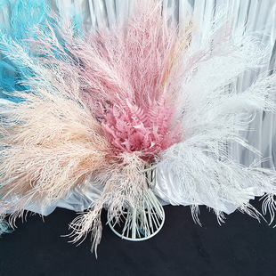 New Peacock makes fun of marriage