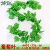 [66片葡萄叶(1条的价格)]