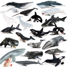 ��ͯ����ģ�ͷ��溣�����ﺣ�������L�����L��������X����ߔ[��