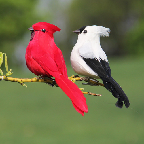 真羽毛仿真小鸟 森系园林园艺装饰鸟 白色红色工艺品泡沫假鸟