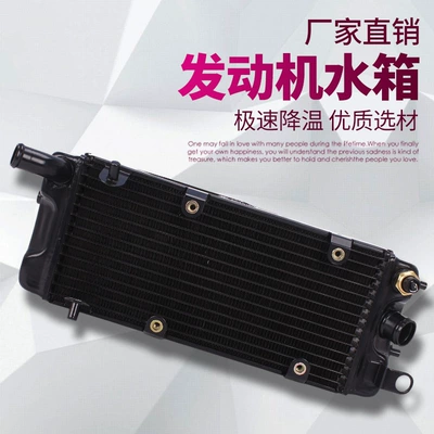 Applicable to Honda STEED Iron Horse 400 Iron Horse 600 water tank assembly water tank radiator water cooler (Water tank)