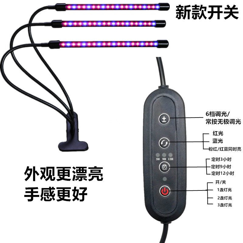 Desk Lamp