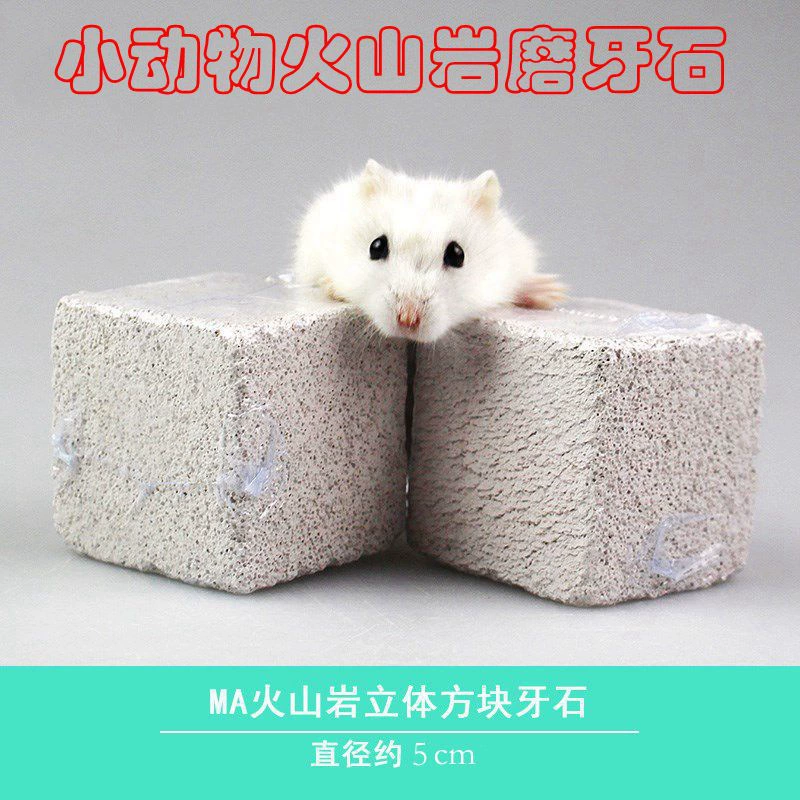 Квадратный вулканический молярный камень Хомяк Мелкие зоотовары Кролик Тоторо Морская свинья Большой квадратный вулканический молярный камень