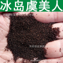 ݻN u˷N ܲݷN ˷N 1=1