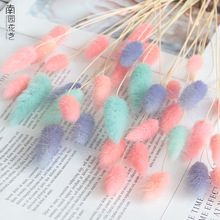 ��β�ݸɻ������߼���������diy���ϼҾӔ[�����˹��Y���c�b�