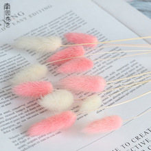 ��β�ݸɻ������߼���������diy���ϼҾӔ[�����նY���c�b�