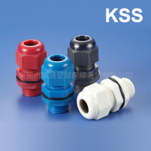 KSS 凱士士 AGJ外迫式電纜固定頭2孔（英制G牙螺紋）ROHS产品