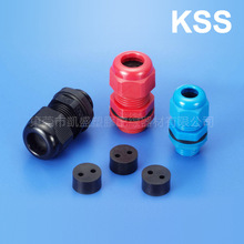 �F؛���� KSS �Pʿʿ EGϵ�ж����|�̶��^(2��) ���� PG�ݼy