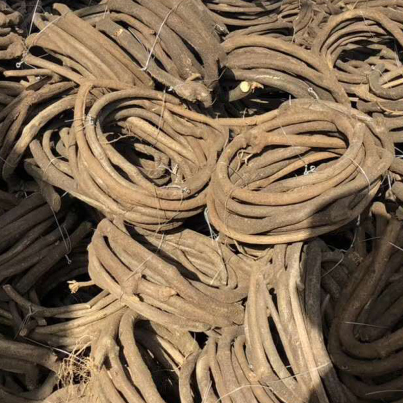 Tree Vine Decoration Vine Landscape Vine Vine Mountain Vine Old Vine Red Mountain Vine Pipe Landscape Branch Flower Vine Matching