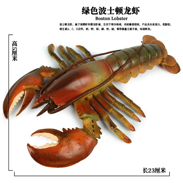 PL127-914 Boston Lobster
