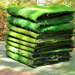 Artificial moss lawn, simulated green moss, indoor landscape, fake turf, plant wall, background decoration, hair-like lawn, wholesale