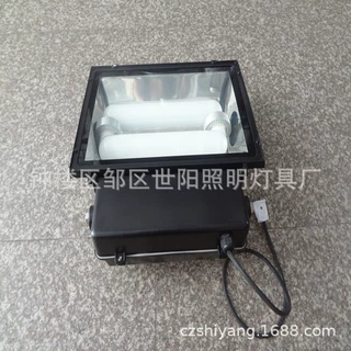 高低频无极灯灯具  灯具配件灯罩无极灯泛光灯集装箱整柜批发