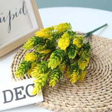 QT1-235�^�ɹ���������l�����Gֲ���z���Ϸ��沤�}�����Y����