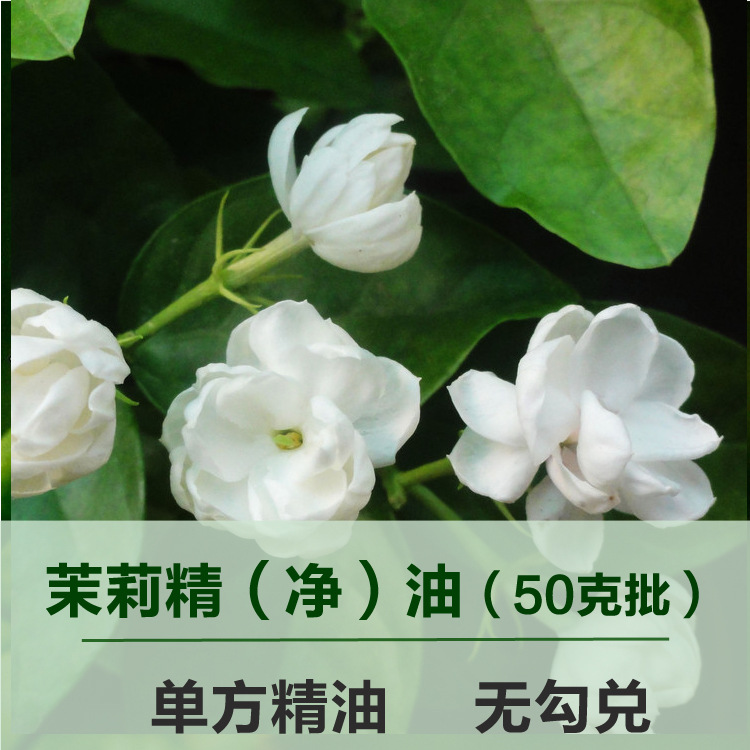无勾兑小花茉莉精油单方精油50克面部精油原料批发茉莉净油