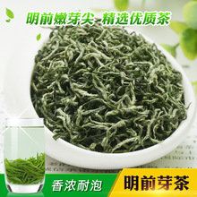 天王2024新茶黄金茶湖南湘西保靖原产绿茶毛尖茶叶明前特级高山浓