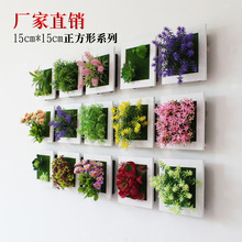 厂家直销植物相框壁挂DIY多肉植物墙 墙面装饰花批发