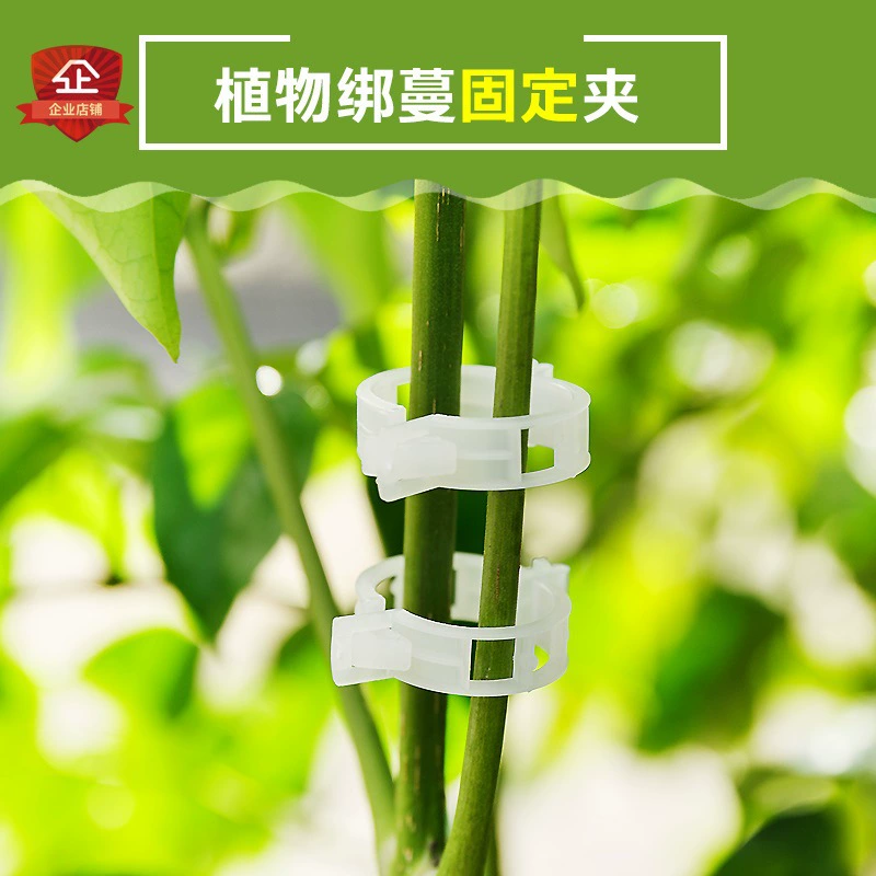 Фиксированный зажим для помидоров подвесной устройство для овощей, фруктов и помидоров застежка для растений