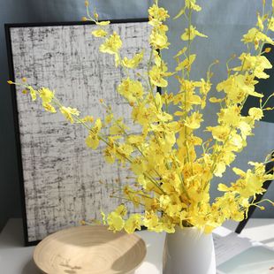 �S�������m�����m���滨��c�廨�b����l�ٻ������m�Ҿ��b��