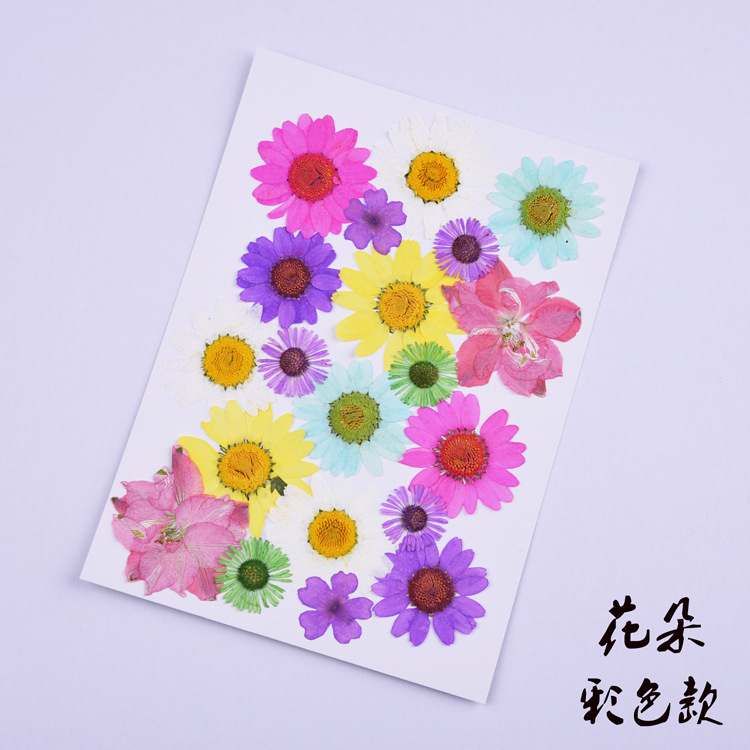 꽃 색 (9 꽃, 총 20 개)